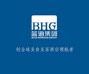 山东蓝海酒店集团无线客房